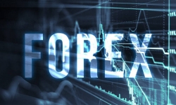 Lừa đảo Forex: Khó ngăn chặn vì thiếu khung pháp lý rõ ràng