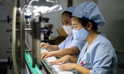 [Ảnh] 'Nội soi' nhà máy sản xuất 6 triệu ống dung môi để tiêm vaccine Pfizer