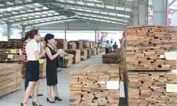 Doanh nghiệp ngành gỗ: Khởi sắc nửa đầu năm, thách thức nửa cuối năm