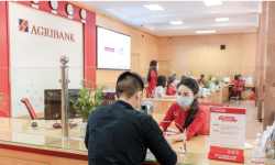 Loạt ngân hàng ở Hà Tĩnh giảm lãi suất, hỗ trợ sản xuất, kinh doanh