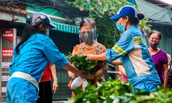 [Ảnh] 'Tiệm rau 0 đồng' của những nữ lao công ở Hà Nội