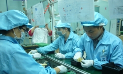 BHXH Việt Nam: Đảm bảo an sinh xã hội cho người dân và doanh nghiệp trong bối cảnh đại dịch COVID-19