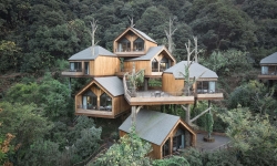 Giới nhà giàu bỏ nhiều tỷ đồng xây nhà trên cây ở như 'người rừng'