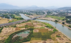 Đà Nẵng được chuyển gần 44 ha đất trồng lúa để làm dự án