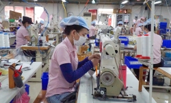 Doanh nghiệp nhỏ và vừa Đà Nẵng khó tiếp cận nguồn vốn ưu đãi
