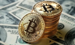 Chính phủ Mỹ bỏ lỡ hàng tỷ USD vì bán rẻ Bitcoin