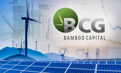 Phát hành thành công 148 triệu cổ phiếu, Bamboo Capital tăng vốn điều lệ lên 4.463 tỷ đồng