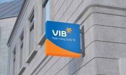 VIB công bố kết quả kinh doanh năm 2021, lợi nhuận vượt 8.000 tỷ đồng, tăng trưởng 38%