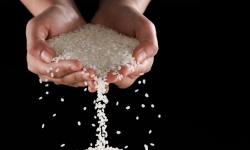 Những loại gạo đặc sản, gạo thơm, gạo sạch phổ biến của A An