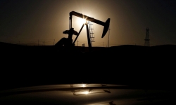 Hoa Kỳ và các đồng minh quyết định mở kho dự trữ trong bối cảnh giá dầu tăng cao