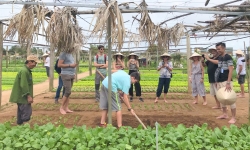 Quảng Nam phát triển du lịch xanh - Bài 2: 'Bắt tay' từ cộng đồng doanh nghiệp