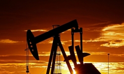 IEA họp khẩn sau khi Mỹ 'bung hàng' nhằm hạ giá dầu