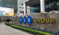 Báo cáo dư nợ ký quỹ cổ phiếu 'họ’ FLC