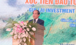 Chủ tịch Gia Lai Võ Ngọc Thành: ‘Quyết tâm đẩy mạnh cải cách hành chính, gỡ khó cho doanh nghiệp, nhà đầu tư’