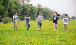 Trẻ em phố thị vui Tết thiếu nhi trong đô thị triệu cây xanh