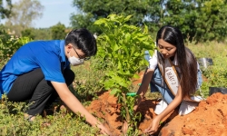 NovaGroup tiếp tục hành trình 'Triệu cây xanh cho cuộc sống bừng sáng' tại Phan Thiết