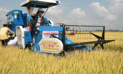 Thị trường cơ khí nông nghiệp Việt Nam hấp dẫn nhưng đang thuộc về ai?