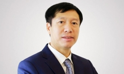 Bắt Phó Tổng giám đốc ROS do 'tiếp tay' ông Trịnh Văn Quyết