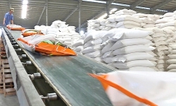 Hiệp hội lương thực kiến nghị nới room tín dụng cho doanh nghiệp xuất khẩu gạo