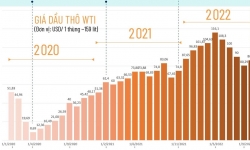 Giá dầu 'nhảy múa' thế nào khi OPEC+ tăng giảm sản lượng trong 3 năm gần đây