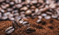 Xuất khẩu cà phê sang Tây Ban Nha tăng trưởng 2 con số trong 9 tháng đầu năm 2022