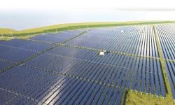 Quy hoạch điện VIII: Đề xuất bỏ hơn 1.600 MW điện mặt trời đến năm 2030
