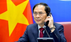 Đề nghị Bộ Chính trị kỷ luật Bộ trưởng Ngoại giao Bùi Thanh Sơn liên quan chuyến bay 'giải cứu'