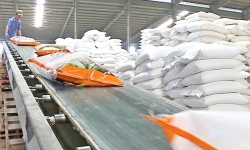 Xuất khẩu gạo được dự báo sẽ sôi động kể từ tháng 3