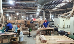 Bình Định có thêm dự án sản xuất, chế biến gỗ gần 1.000 tỷ đồng