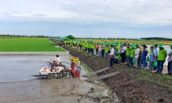 Sắp khởi động hợp tác công - tư sản xuất 1 triệu ha lúa giảm phát thải carbon tại Đồng bằng sông Cửu Long