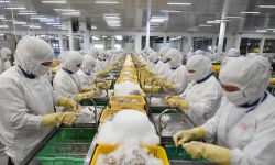 Trung Quốc ồ ạt mua tôm cá nhưng giảm 'ăn hàng' của Việt Nam