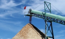 Việt Nam đứng thứ 2 thế giới về xuất khẩu viên nén gỗ