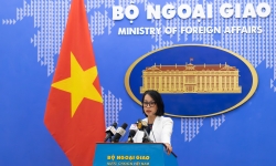 Bộ Ngoại giao sẽ hỗ trợ doanh nghiệp Việt tiếp cận thị trường Mỹ