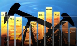 Tổng thư ký OPEC: 'Thiếu đầu tư vào ngành dầu mỏ gây nguy hiểm cho an ninh năng lượng toàn cầu'