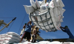 Việt Nam chi gần 900 triệu USD nhập khẩu gạo