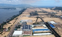 Bình Định có dự án chế biến nông sản 500 tỷ đồng