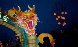 Vì sao nhiều người Đài Loan thích sinh con vào năm con rồng?