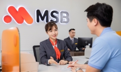 MSB dành 3.000 tỷ đồng tín dụng xanh cho doanh nghiệp