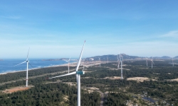 Tỷ phú Singapore muốn làm dự án điện gió 5.500 tỷ đồng tại Bình Định