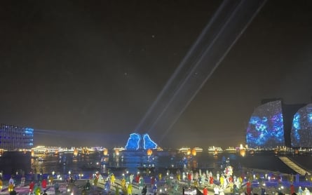 Carnaval Hạ Long 2024 hút khách với 'bữa tiệc' nghệ thuật đặc sắc