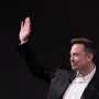 Elon Musk ve vãn Warren Buffett, kêu gọi nhà đầu tư huyền thoại mua cổ phần của Tesla