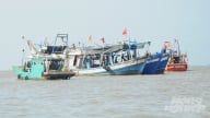 4 tàu cá bị nước ngoài bắt giữ sử dụng biển số giả của Kiên Giang