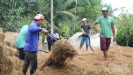 Tập huấn kỹ thuật sản xuất nấm rơm, phân compost từ rơm rạ