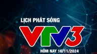 Lịch phát sóng VTV3 hôm nay ngày 16/11/2024