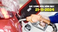 Giá xăng dầu trong nước điều chỉnh giảm nhẹ