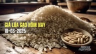 Giá lúa gạo hôm nay 19/3/2025: Giá gạo xuất khẩu tăng