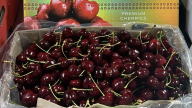 Giá cherry Chile giảm mạnh, thị trường nho tươi phục hồi mạnh mẽ