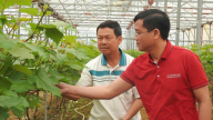 Quyết tâm vay tiền hồi sinh vùng đất ‘chó ăn đá gà ăn sỏi’