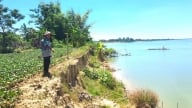 Bờ sông Thu Bồn sạt lở