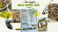 Câu chuyện mùa nước nổi